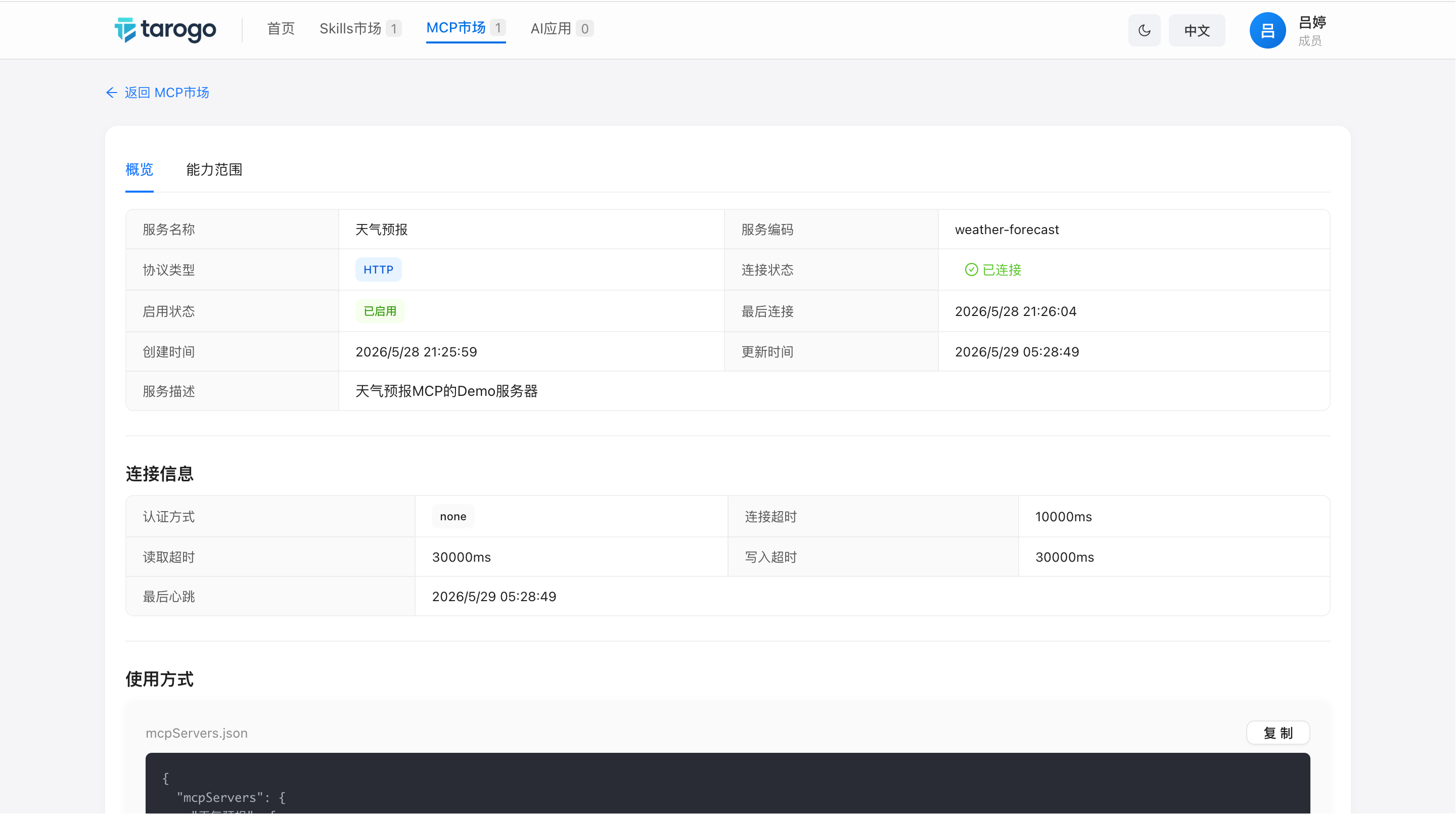 图 2：MCP 服务器详情页 — 概览与能力范围