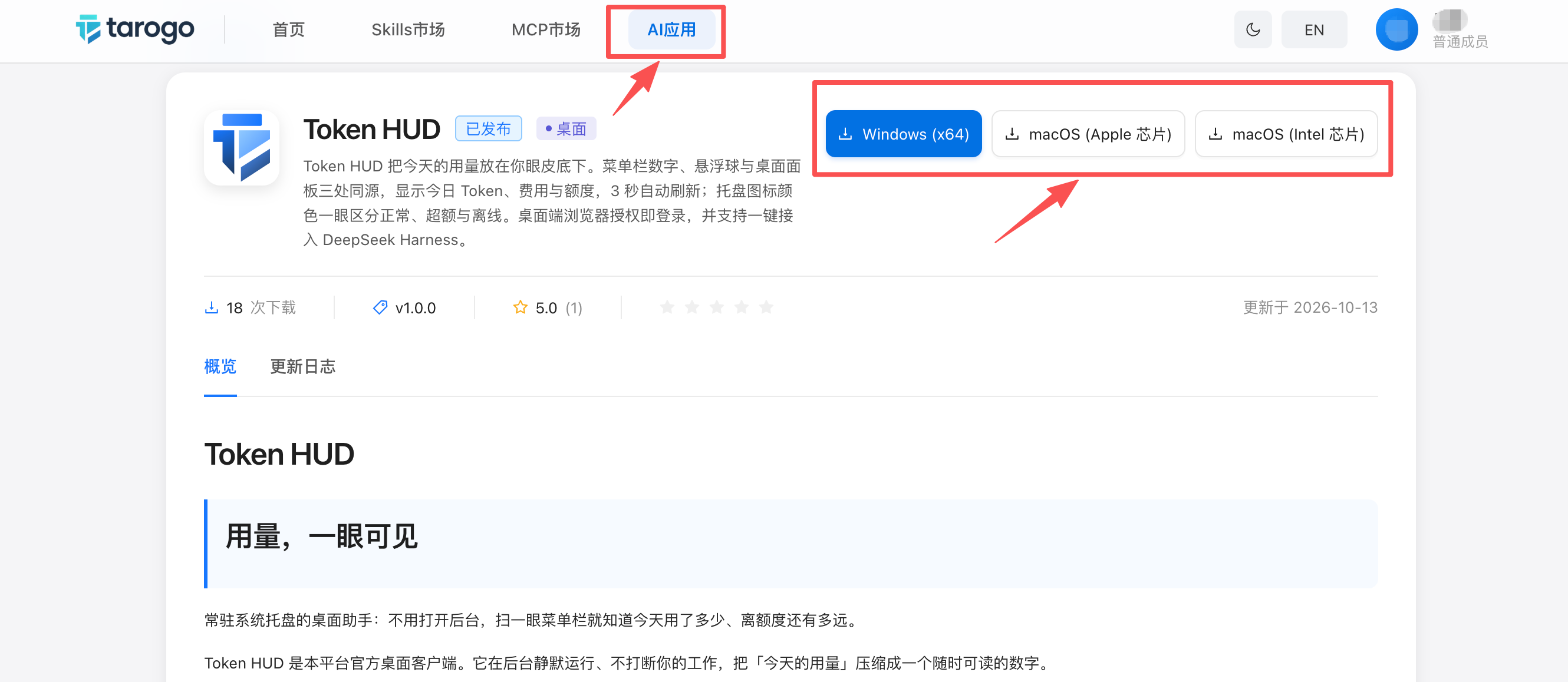 应用中心 Token HUD 页面截图